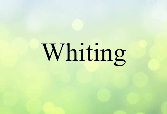 Whiting (noun) Definition, Meaning & Examples