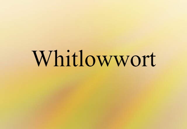 whitlowwort