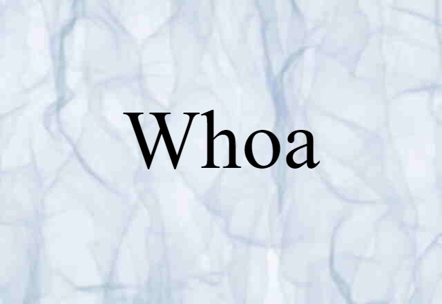 Whoa (noun) Definition, Meaning & Examples