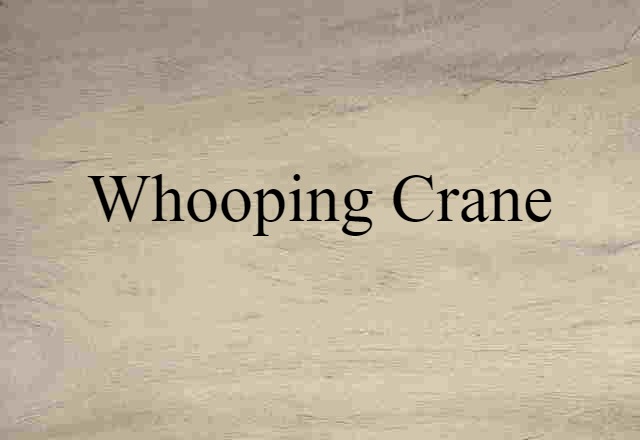 whooping crane