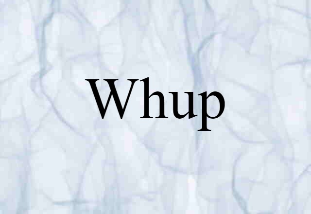 Whup (noun) Definition, Meaning & Examples