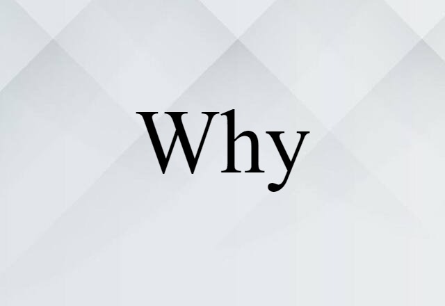 Why (noun) Definition, Meaning & Examples