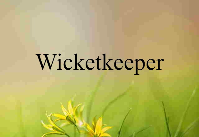 Wicketkeeper (noun) Definition, Meaning & Examples