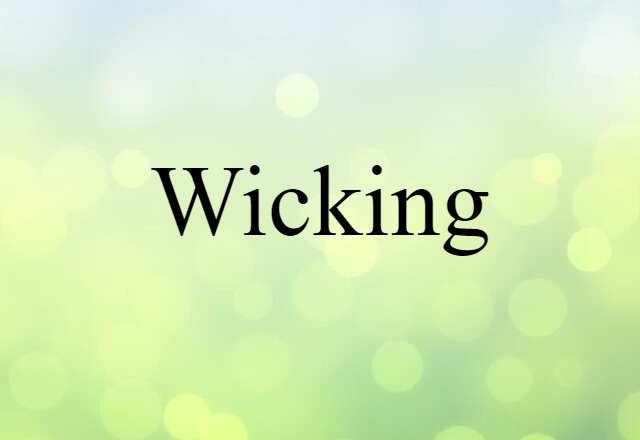 Wicking (noun) Definition, Meaning & Examples