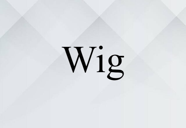 Wig (noun) Definition, Meaning & Examples