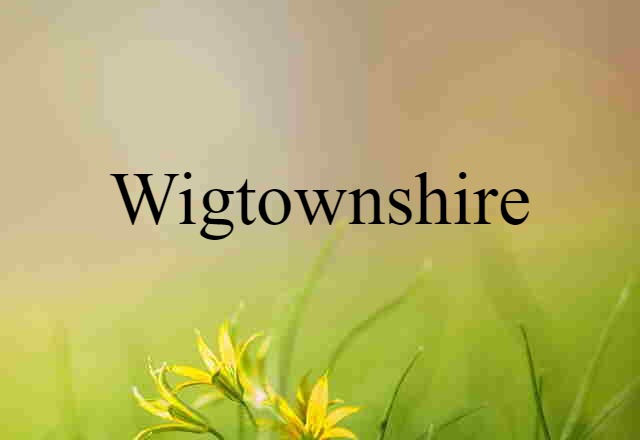 Wigtownshire (noun) Definition, Meaning & Examples