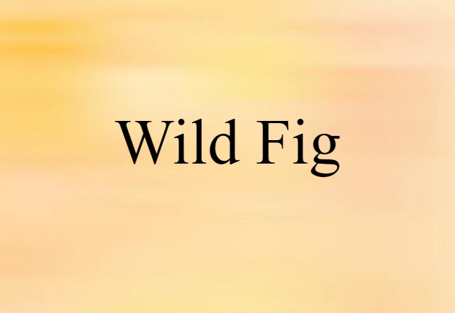 wild fig