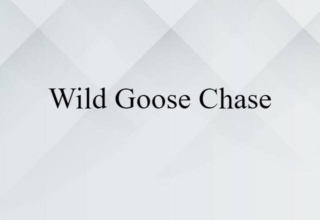 wild-goose chase