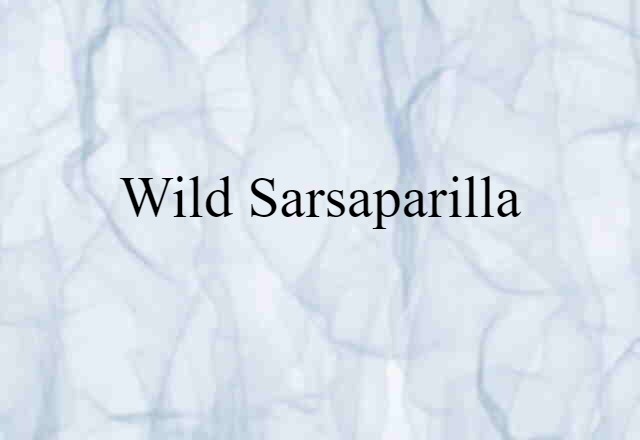 Wild Sarsaparilla (noun) Definition, Meaning & Examples