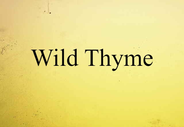 Wild Thyme (noun) Definition, Meaning & Examples