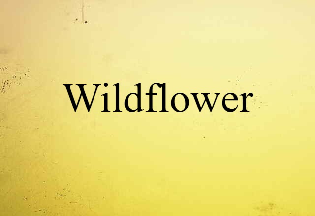 Wildflower (noun) Definition, Meaning & Examples