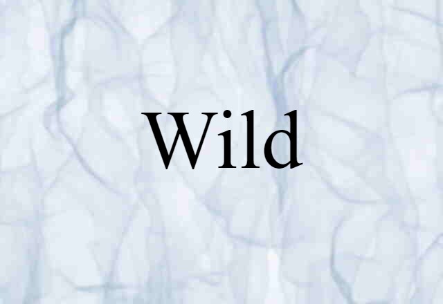 Wild (noun) Definition, Meaning & Examples