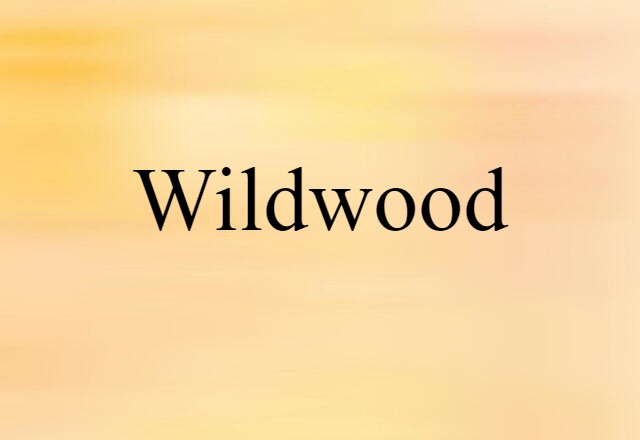 Wildwood (noun) Definition, Meaning & Examples