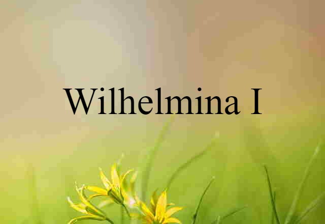 Wilhelmina I (noun) Definition, Meaning & Examples