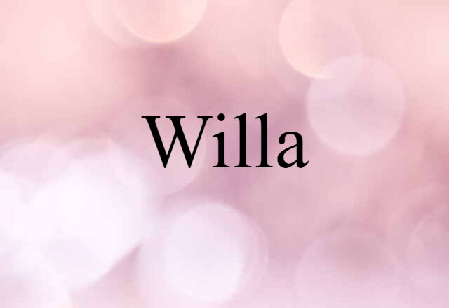 Willa (noun) Definition, Meaning & Examples