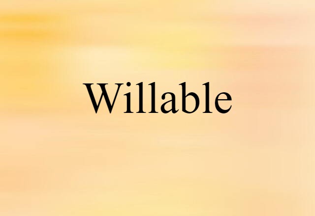 Willable (noun) Definition, Meaning & Examples