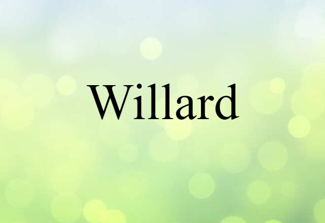 Willard