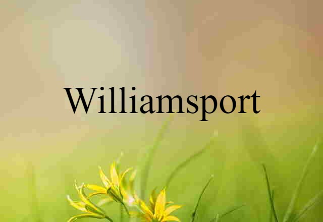 Williamsport (noun) Definition, Meaning & Examples