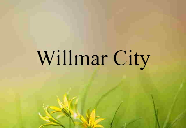 Willmar City