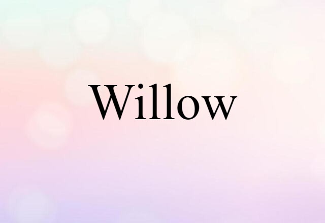 Willow (noun) Definition, Meaning & Examples