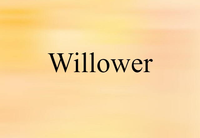 Willower (noun) Definition, Meaning & Examples