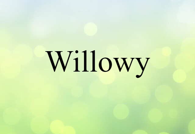 Willowy (noun) Definition, Meaning & Examples