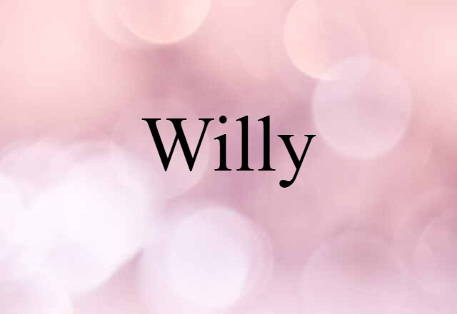 Willy (noun) Definition, Meaning & Examples