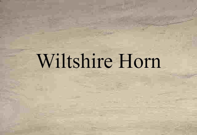 Wiltshire Horn