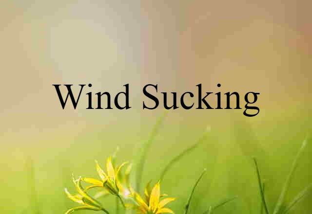 wind sucking