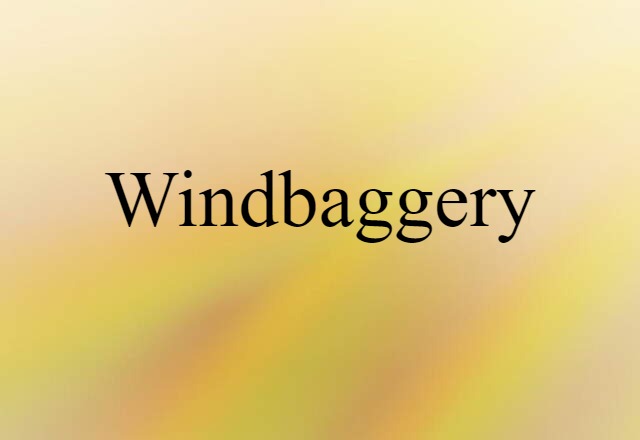 Windbaggery (noun) Definition, Meaning & Examples