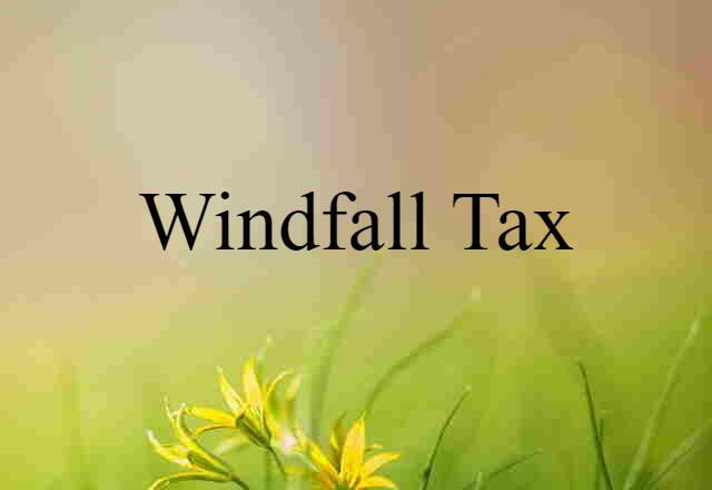 windfall tax