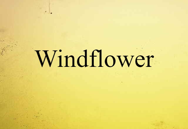 windflower