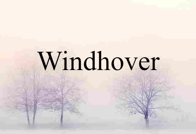 Windhover (noun) Definition, Meaning & Examples