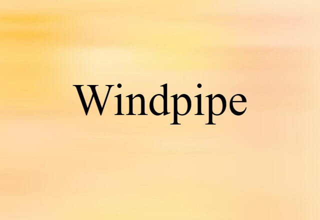 Windpipe (noun) Definition, Meaning & Examples