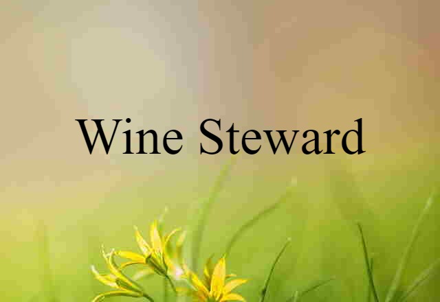 Wine Steward (noun) Definition, Meaning & Examples