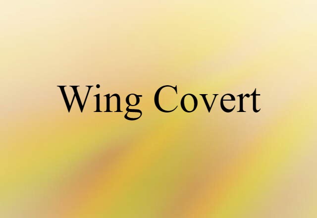 wing covert