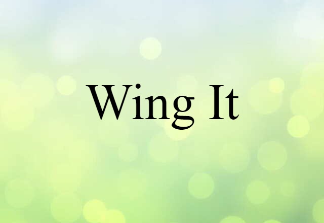 Wing It (noun) Definition, Meaning & Examples