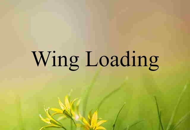 wing loading