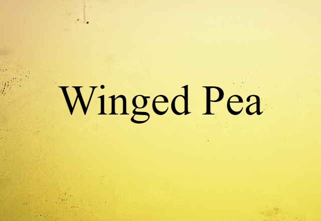 Winged Pea (noun) Definition, Meaning & Examples