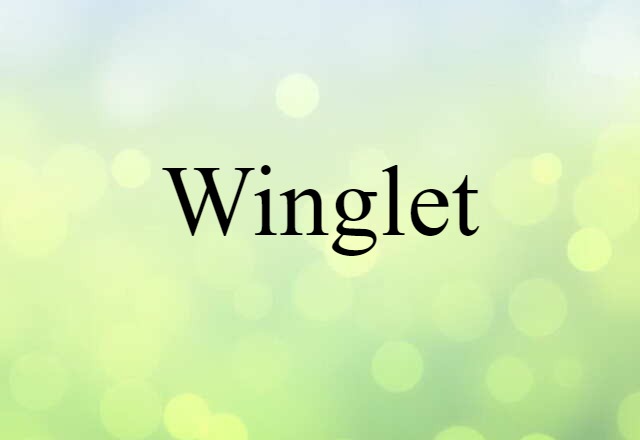 Winglet (noun) Definition, Meaning & Examples