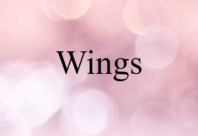 Wings (noun) Definition, Meaning & Examples