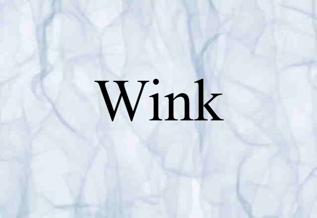 Wink (noun) Definition, Meaning & Examples