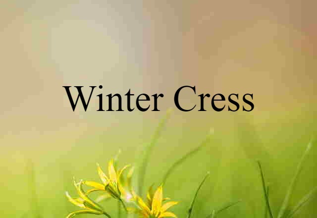 winter cress