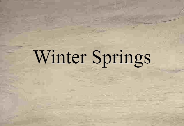 Winter Springs (noun) Definition, Meaning & Examples