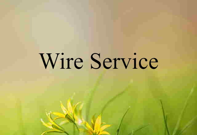 Wire Service (noun) Definition, Meaning & Examples