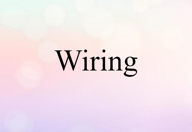 Wiring (noun) Definition, Meaning & Examples