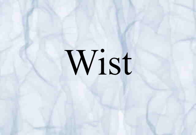 Wist (noun) Definition, Meaning & Examples