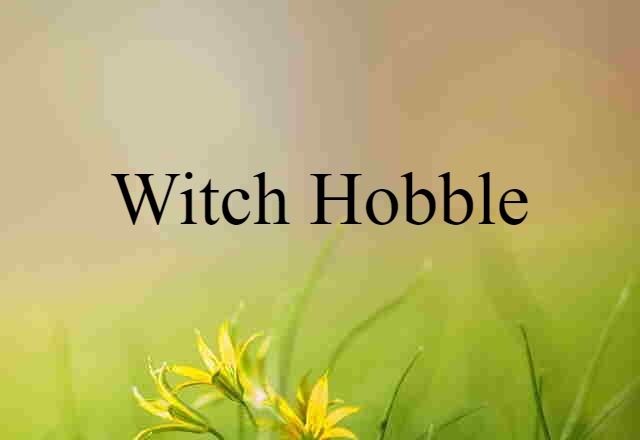 witch hobble