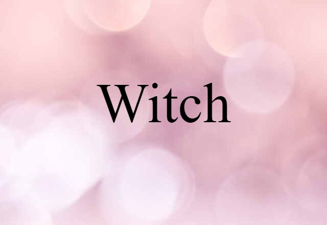 Witch (noun) Definition, Meaning & Examples