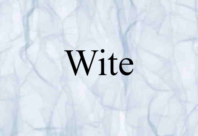 Wite (noun) Definition, Meaning & Examples